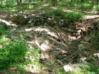 JULY 5TH HUNT WITH FRANK DRAPED BUST LARGE CENT 007 [].jpg.png