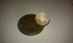 IMAG0112.jpg