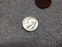 silver Rosie.jpg