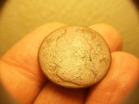 APRIL 29th 2 coppers 008 (Small).jpg