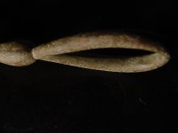 DSC00030.JPG
