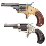 colt.jpg