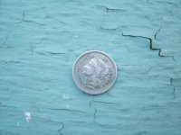 BONE 2013 001.JPG