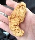 ox.jpg