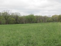 NW Corner Loesing Farm.JPG