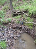 Creek, Bullet Location.JPG