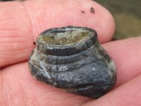 Civil War Bullet.JPG
