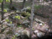may 5th crotal bells 011.jpg