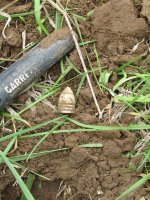 2nd Bullet, 12 Inches Deep.JPG