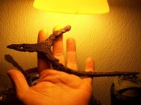 101_3266.JPG