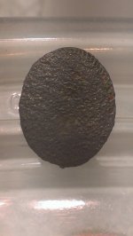 IMAG0127 (361x640).jpg