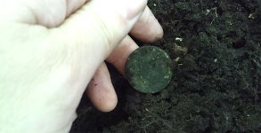 holed-large-cent-fresh-from-dirt.jpg