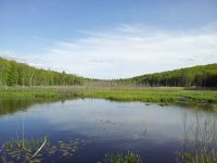 2013-05-17 17.05.22.jpg