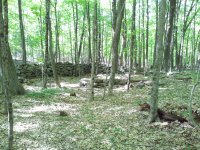 2013-05-17 16.43.31.jpg