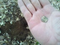 2013-05-15 14.13.46.jpg