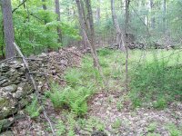 old-barn-area.jpg