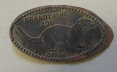 Otter_0001.jpg