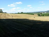 IMG-20130602-WA0003.jpg