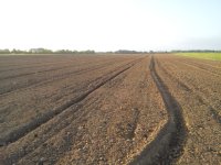 20130602_061632.jpg