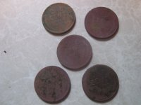 5 wheats.jpg