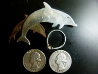 dolphin 002.JPG