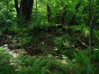 Mass cellar holes 014 (640x480).jpg