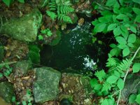 Mass cellar holes 001 (640x480).jpg