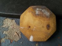 20130616_113813.jpg