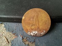 20130616_113759.jpg
