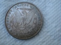 6-19-13 #4.jpg