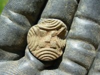 06-20-13 Saybrook old button.jpg