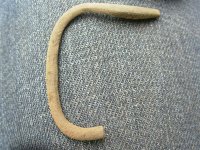 06-26-13 Saybrook buckle frag.jpg