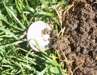 100_0707.JPG