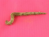 07-12-13 Saybrook wrought iron hook.jpg