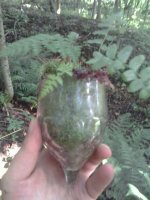 2013-07-14_08_15_47.jpg