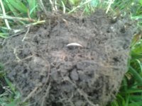 2013-07-28_08_24_45.jpg