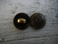 DSCN1505.JPG