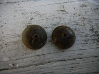 DSCN1504.JPG