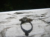 DSCN1572.JPG