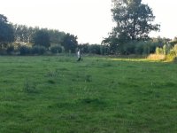 IMG-20130803-WA0008.jpg