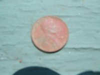 20 Aug 2013 LC 002.JPG