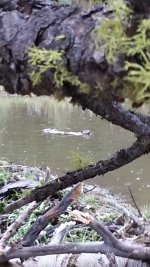 20130825_124154.jpg