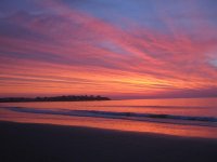 IMG_2241.JPG