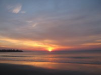 IMG_2243.JPG