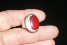 100_1013.JPG