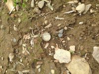 20130922.JPG