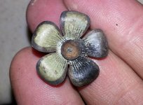 Brooch Face 1.jpg