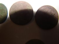 003.JPG