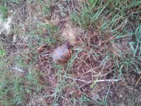 20131005_072538.jpg