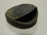 ClamQuarter_0001.jpg